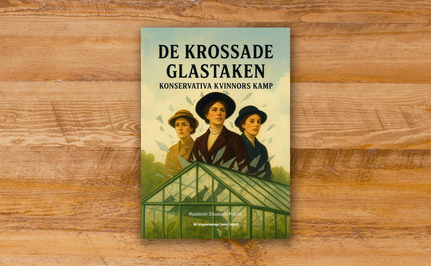 Boken De krossade glastaken – Konservativa kvinnors kamp